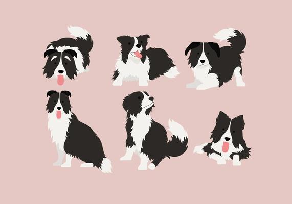 Border Collie 2 Vector