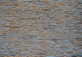 Stone Wall Vector Background