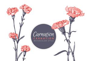 Carnation Flowers Background vector