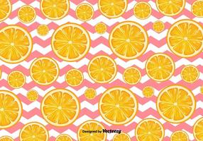 Orange Slices Vector de fondo