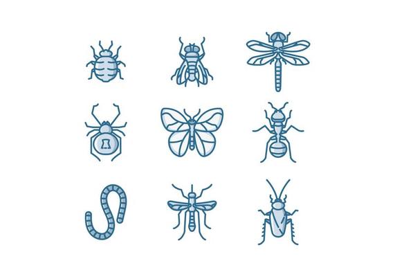 Free Insects Vector