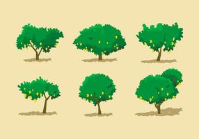 Conjuntos de vectores de árboles de mango