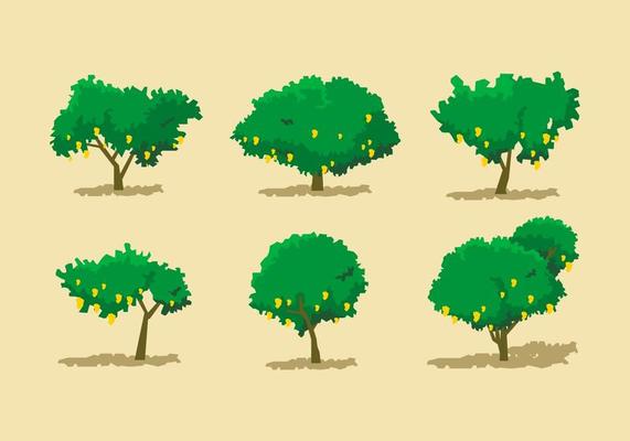 Mango Tree Vector Sets
