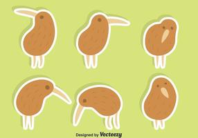 Cute Kiwi conjunto de vectores de aves