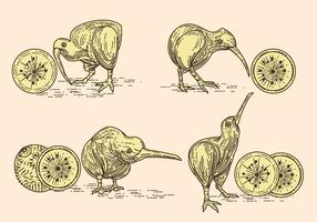 Vector Image of Nice Kiwi Birds and Kiwi Fruits 