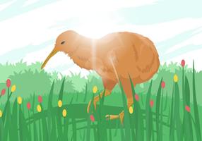 Ilustración del pájaro del kiwi vector