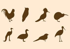 Vector de aves gratis