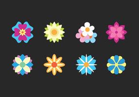 Iconos de flor plana vector