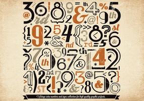 Víspera de Todos los Santos Colored Numbers Vector