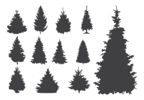 Sapin Silhouettes Vector