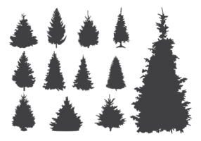 Siluetas de Sapin Vector