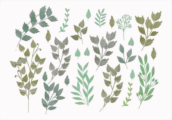 Vector Watercolor Spring Branches