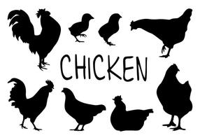 Los vectores de la silueta de pollo