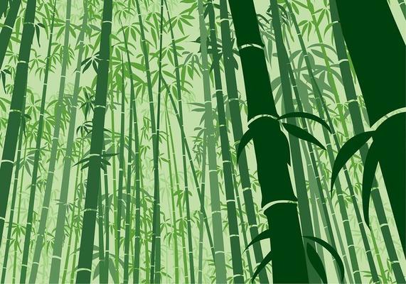 Bamboo Background Frog Angle Free Vector