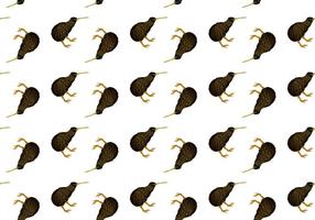 Free Kiwi Bird Seamless Pattern Vector Illustration