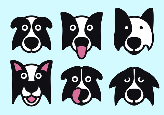 Free Border Collie Vector