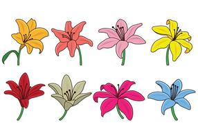 Set Of Easter Lily Vectors