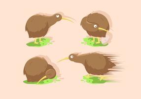 Conjunto de ilustración vectorial de aves de kiwi vector