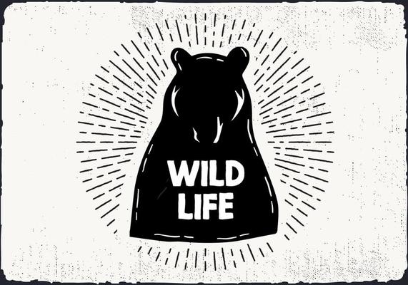 Free Hand Drawn Wild Life Background