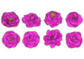 Set Of Camellia Vectors