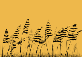 Free Sea Oats Vector