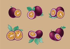 Passion fruit vector pack