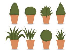 Planter Vector