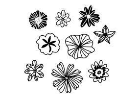 Conjunto de flores blancos y negros vector