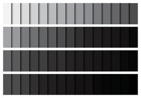 Grey Gradient Palette vector