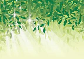 Fresh Green Leaf Background vector
