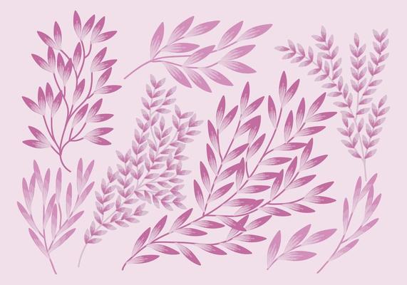 Vector Set of Branches