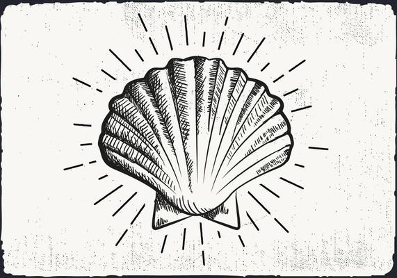 Free Hand Drawn Shell Background