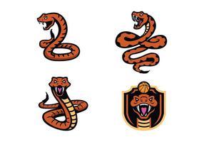 Vector libre de la mascota de la serpiente Rattlers