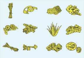 Herb And Spices Vector