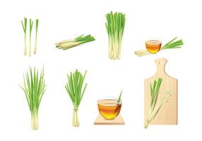 Lemongrass Vector Elements 