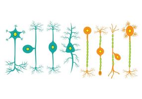 Neuron icons vector