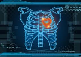 Glowing Ribcage Vector Background