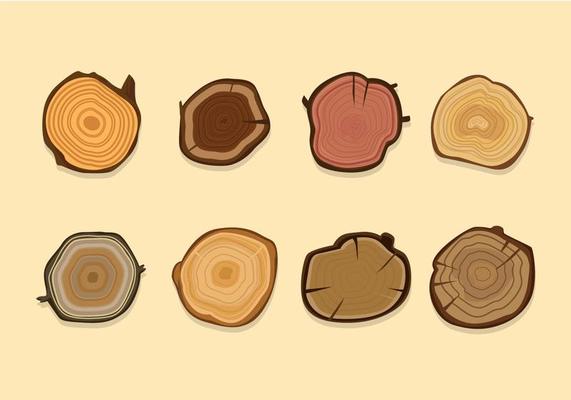 Cut and Sliced Wood Logs Vector
