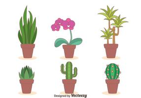 Houseplant Collection Vector