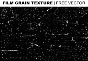 Cine de la textura del grano libre del vector