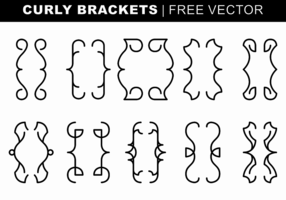 Curly Brackets Free Vector