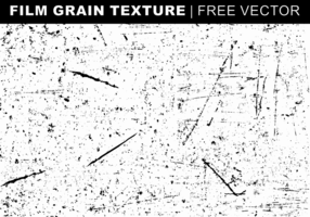 Cine de la textura del grano libre del vector