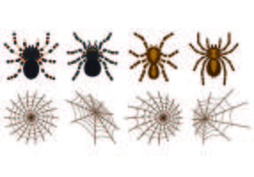 Set Of Tarantuala Vectors