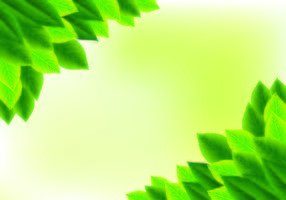Antecedentes de hojas verdes naturales vector