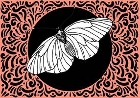 Ornate Moth Design vector