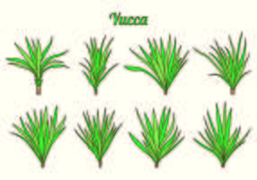 Set Of Yucca Vectors