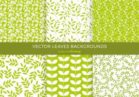 Green Leaves Background Vector Pack