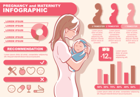 El embarazo y la maternidad Infografía vector