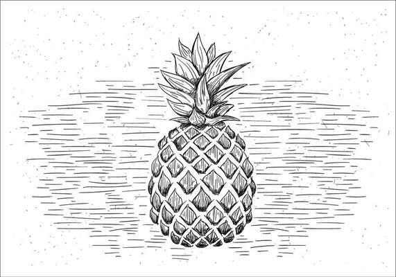 Free Hand Drawn Vector Pineapple Illustration