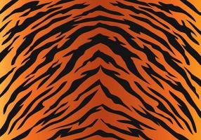 Tiger Stripe Pattern vector